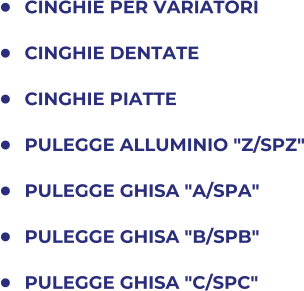 	CINGHIE PER VARIATORI 	CINGHIE DENTATE 	CINGHIE PIATTE 	PULEGGE ALLUMINIO "Z/SPZ" 	PULEGGE GHISA "A/SPA" 	PULEGGE GHISA "B/SPB" 	PULEGGE GHISA "C/SPC"